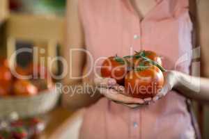 Woman holding tomatoes in grocery store