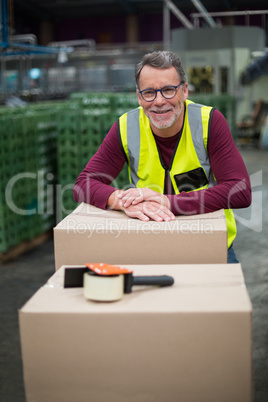 Portrait of factory worker with cardboard boxes on trolley