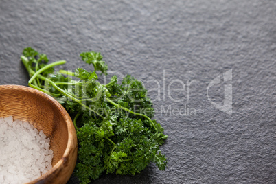 Bowl of sea salt and coriander leaves against black background