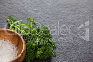 Bowl of sea salt and coriander leaves against black background