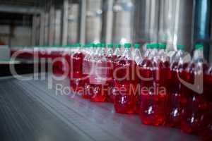 Bottles of juices processing on conveyor belt in factory
