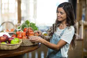 Woman choosing fresh tomatoes from the basket