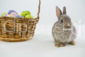 Basket with Easter eggs and Easter bunny