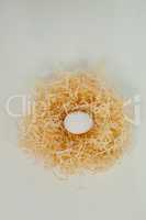White easter egg in nest