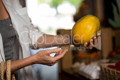 Woman hand holding papaya
