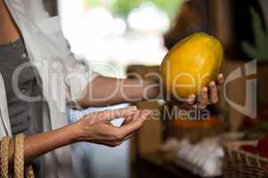 Woman hand holding papaya