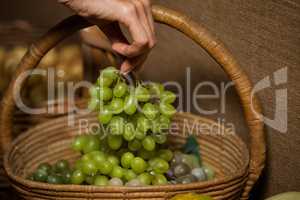 Hand of woman buying bunch of grapes