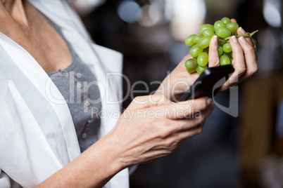 Mid section of female costumer holding grapes while using mobile phone