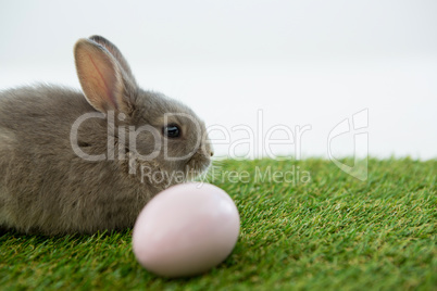 Easter eggs and Easter bunny in grass