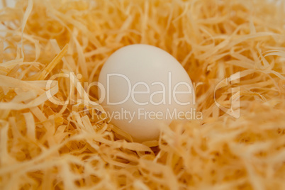 White easter egg in nest