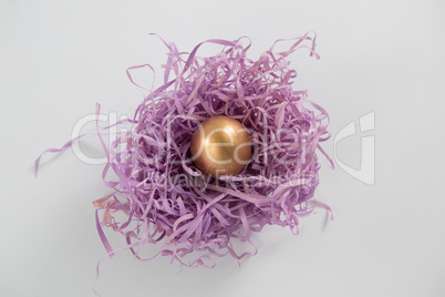 Golden Easter egg in the paper nest