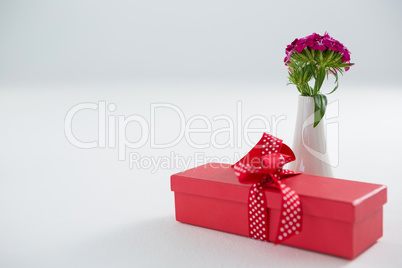 Gift box and flower vase on white background