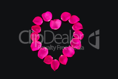 Rose petals forming heart shape against black background