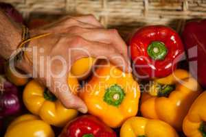 Hand of male staff selecting bell pepper in organic section