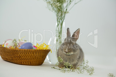 Basket with Easter eggs and Easter bunny