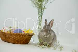 Basket with Easter eggs and Easter bunny