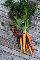 Organic red radishes and carrots