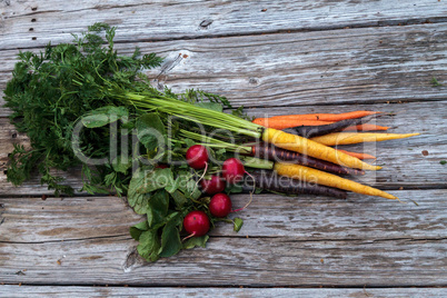 Organic red radishes and carrots