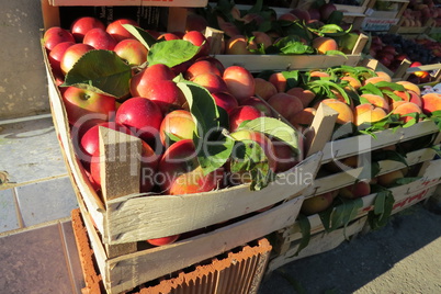 Fresh red apples at the food market