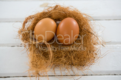 Two brown eggs in the nest
