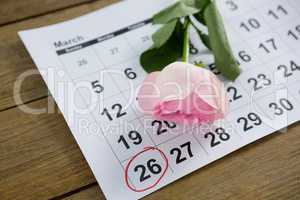 Pink rose on calendar