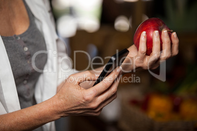Mid section of female costumer holding apple while using mobile phone