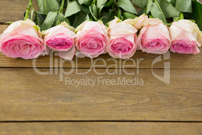 Pink roses arranged on wooden plank