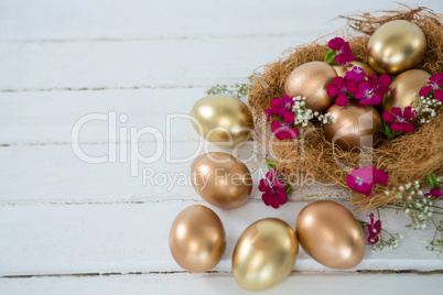 Golden Easter eggs in the nest