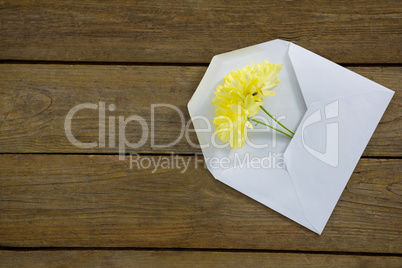 Yellow flowers in envelope on wooden plank