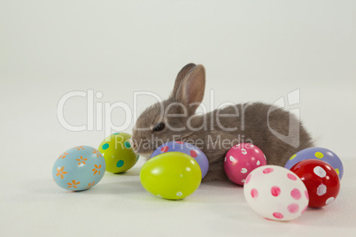 Colorful Easter eggs and Easter bunny