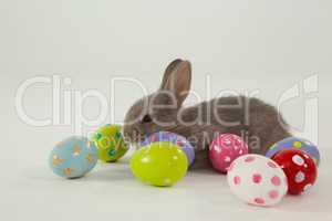 Colorful Easter eggs and Easter bunny