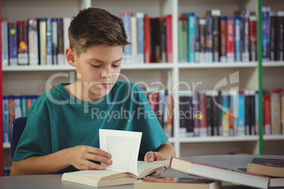 Attentive schoolboy reading book in library