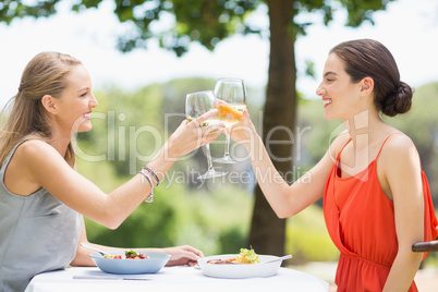 Friends toasting glasses of wine in a restaurant