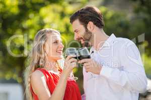 Happy couple toasting wine glasses