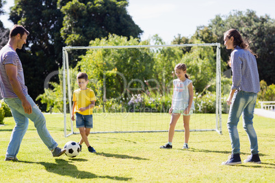 Family playing football together at the park