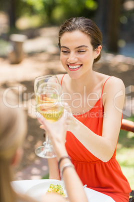 Friends toasting glasses of wine in a restaurant