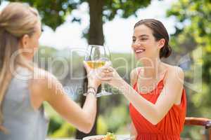 Friends toasting glasses of wine in a restaurant