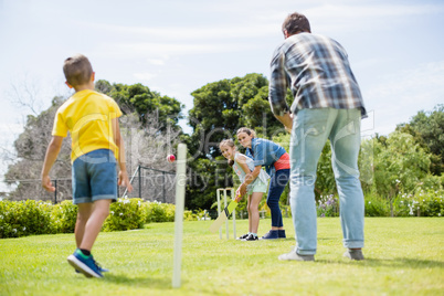 Family playing cricket in park