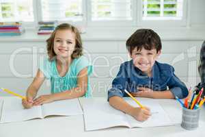 Portrait of smiling siblings studying together in living room
