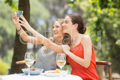Happy friends taking a selfie