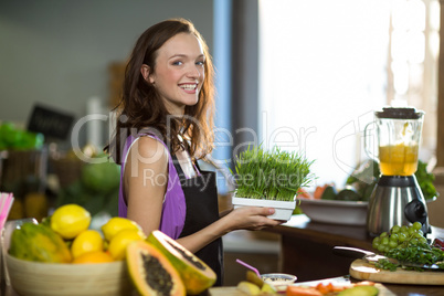 Shop assistant holding a tray of herbs in health grocery shop