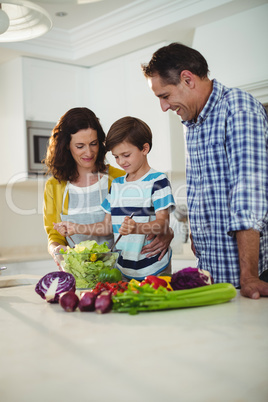 Parents and son mixing the salad in kitchen