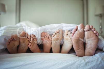 Family feet sticking out from under the bed sheet