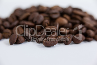 Roasted coffee beans