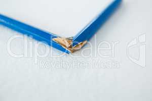 Close-up of broken blue pencil
