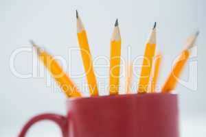 Yellow color pencils kept in mug on white background