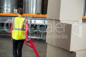 Female factory worker pulling trolley of cardboard boxes