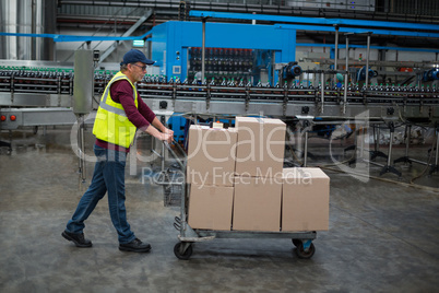 Male factory worker pulling trolley of cardboard boxes