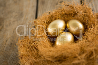 Golden Easter eggs in the nest