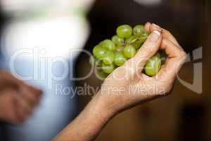 Woman hand holding grapes